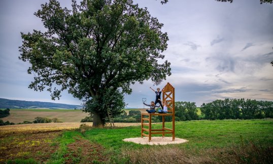 Trůn / fotopoint / zajímavost